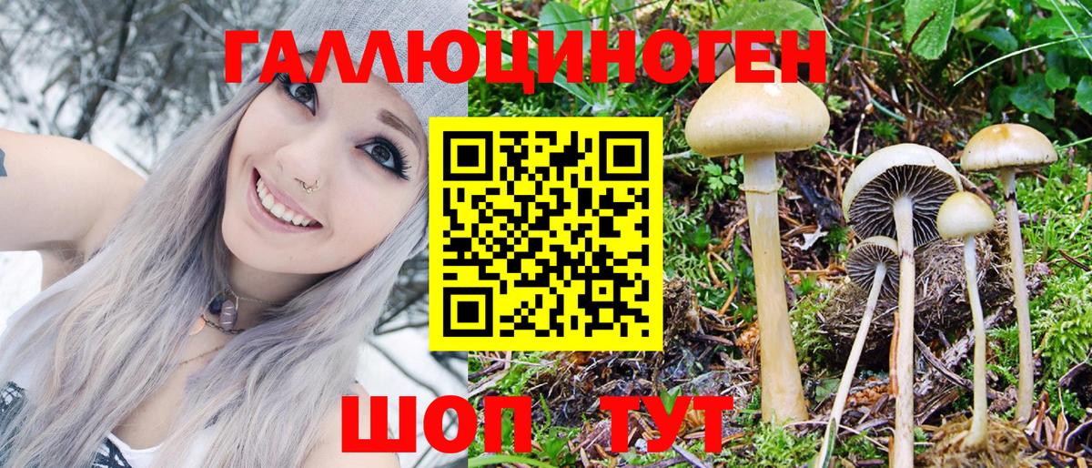 сколько стоит  Галлюциногенные грибы Magic Shrooms  Вход с VPN  Казань 