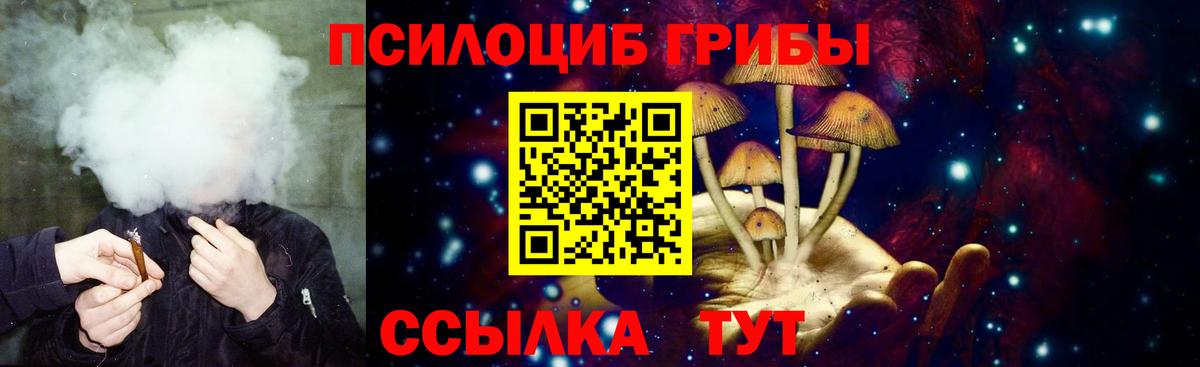 Галлюциногенные грибы MAGIC MUSHROOMS Казань